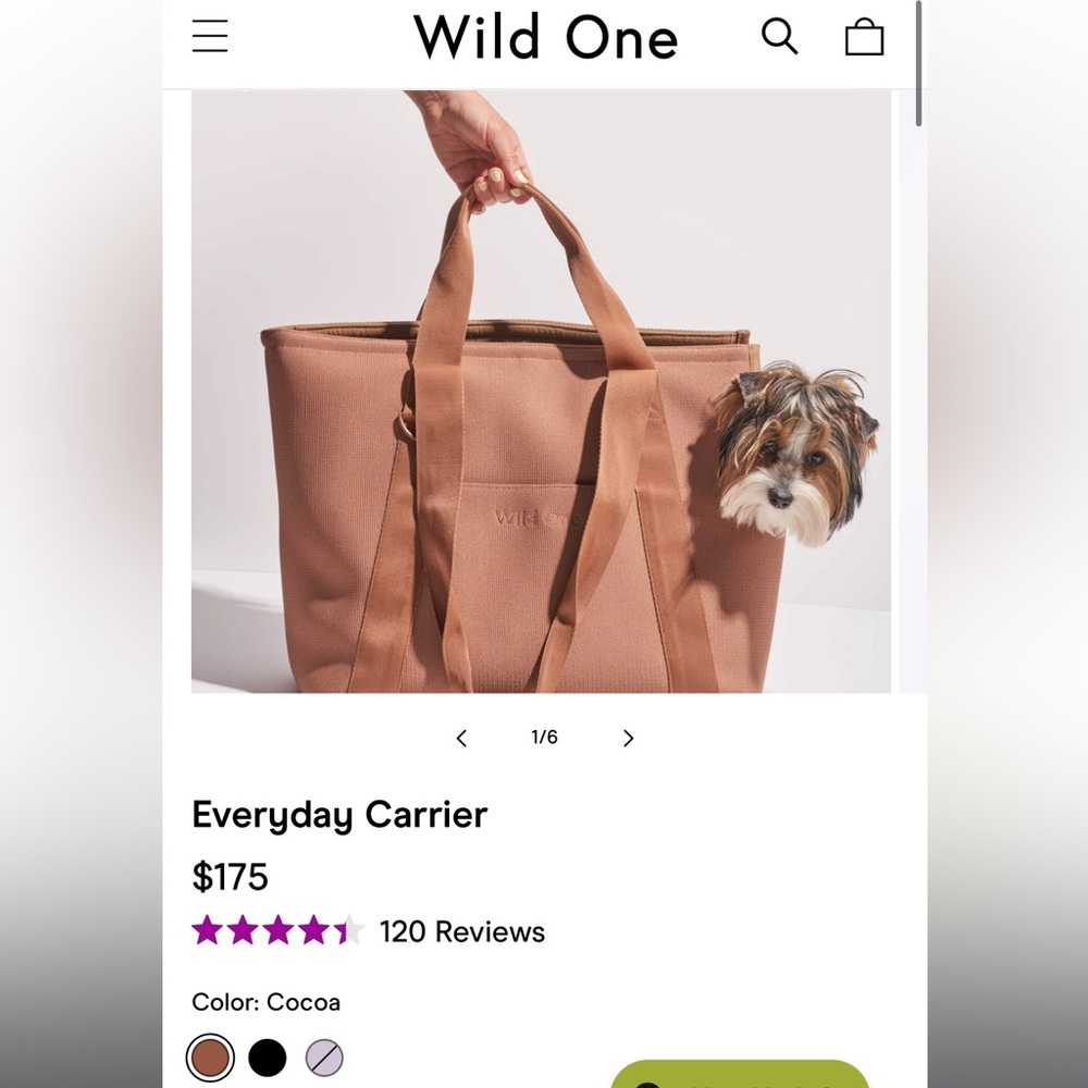 Wild One Everyday Carrier in Cocoa